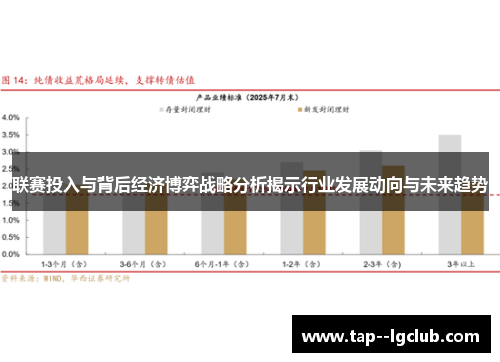 联赛投入与背后经济博弈战略分析揭示行业发展动向与未来趋势